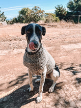 Cargar imagen en el visor de la galería, Patrón Chaleco Manchas